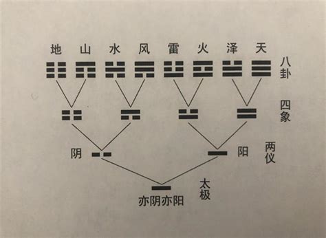 动爻怎么看|学易经要搞懂一个问题：何为动爻